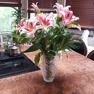 Meet your Posher, Steven